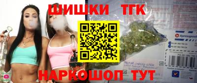 индика Будённовск