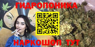 индика Будённовск