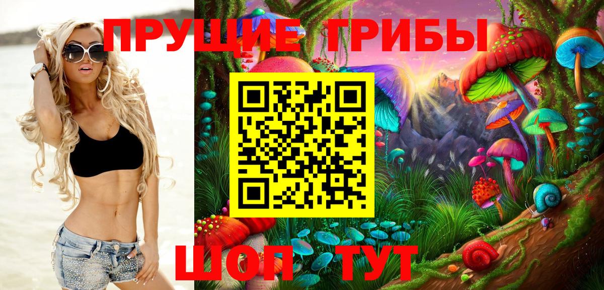 Галлюциногенные грибы MAGIC MUSHROOMS  Галлюциногенные грибы Psilocybine cubensis  Вход с VPN  Брянск 